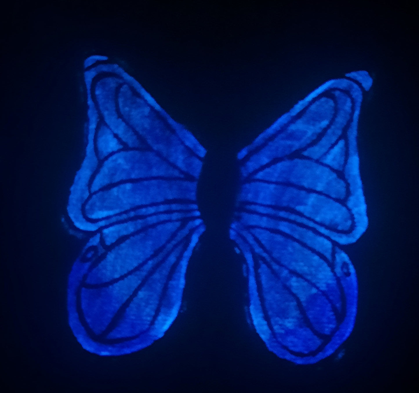 Blue Butterfly Canvas Print